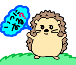 Daily conversation of hedgehog sticker #11799089