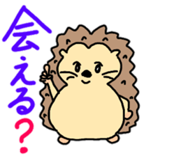 Daily conversation of hedgehog sticker #11799111