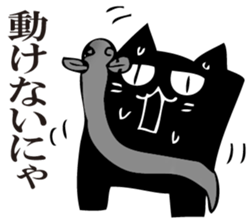 A black cat will answer 10. sticker #11799171