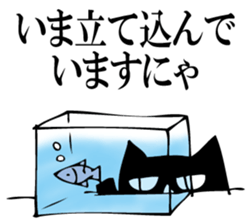 A black cat will answer 10. sticker #11799172