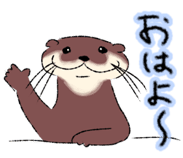 Oriental small-clawed otter sticker sticker #11799286