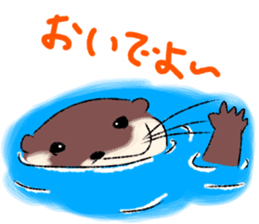 Oriental small-clawed otter sticker sticker #11799288