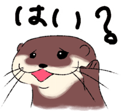 Oriental small-clawed otter sticker sticker #11799303