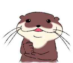 Oriental small-clawed otter sticker sticker #11799308