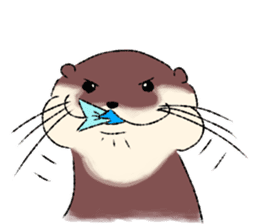 Oriental small-clawed otter sticker sticker #11799310