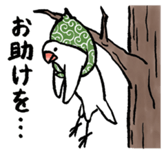 Furoshiki Buncho 2 sticker #11801453