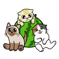 Summer, Orin and Kinaco and Myasuke