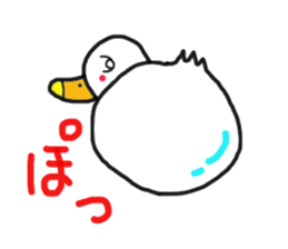 His name is CHAI the call duck sticker #11802207