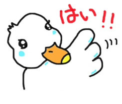 His name is CHAI the call duck sticker #11802208