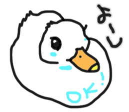 His name is CHAI the call duck sticker #11802209