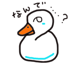 His name is CHAI the call duck sticker #11802210