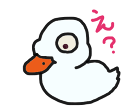 His name is CHAI the call duck sticker #11802213