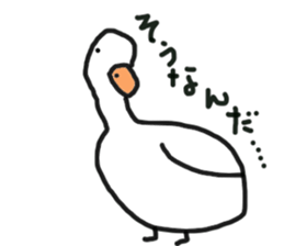 His name is CHAI the call duck sticker #11802215