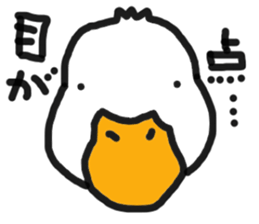 His name is CHAI the call duck sticker #11802218
