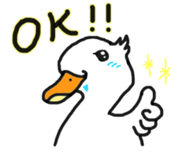 His name is CHAI the call duck sticker #11802220