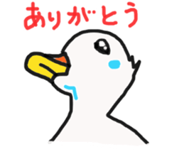His name is CHAI the call duck sticker #11802228