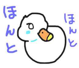 His name is CHAI the call duck sticker #11802230