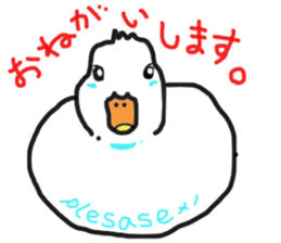 His name is CHAI the call duck sticker #11802233