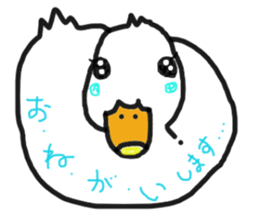 His name is CHAI the call duck sticker #11802237