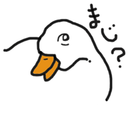 His name is CHAI the call duck sticker #11802238
