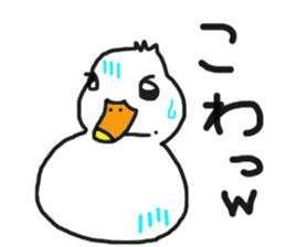 His name is CHAI the call duck sticker #11802239