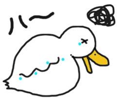 His name is CHAI the call duck sticker #11802240