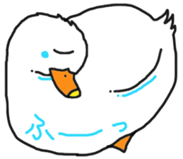 His name is CHAI the call duck sticker #11802243