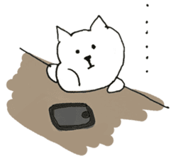Cute poker-faced cat sticker #11802890