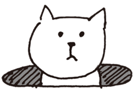 Cute poker-faced cat sticker #11802922