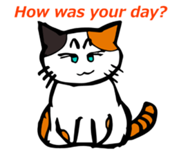 The green eyed calico cat Mocha English sticker #11804171