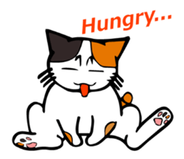 The green eyed calico cat Mocha English sticker #11804172