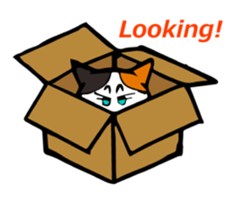 The green eyed calico cat Mocha English sticker #11804178