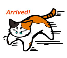 The green eyed calico cat Mocha English sticker #11804181