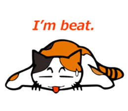 The green eyed calico cat Mocha English sticker #11804193