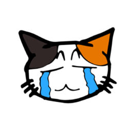 The green eyed calico cat Mocha English sticker #11804204