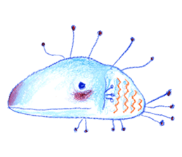 Torhovocco sticker #11804721