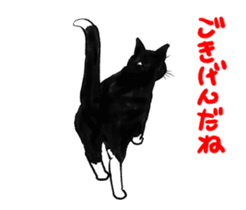 Black & White CATS animation sticker #11805885