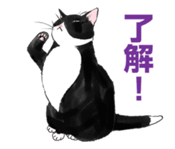 Black & White CATS animation sticker #11805886