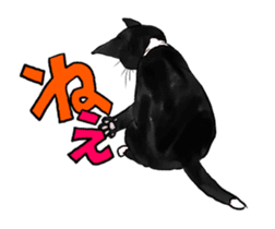 Black & White CATS animation sticker #11805887