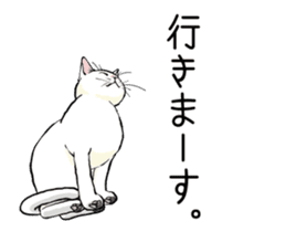 Black & White CATS animation sticker #11805891