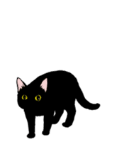 Black & White CATS animation sticker #11805893