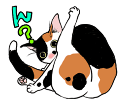 Black & White CATS animation sticker #11805894