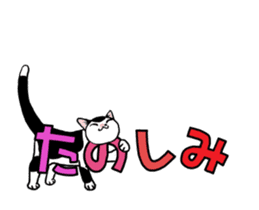 Black & White CATS animation sticker #11805895