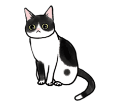 Black & White CATS animation sticker #11805899