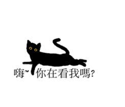 cat cat cat cat ~ sticker #11806773