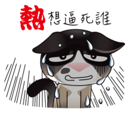 Snowshoe Cat Lumang - the bad guy sticker #11806849