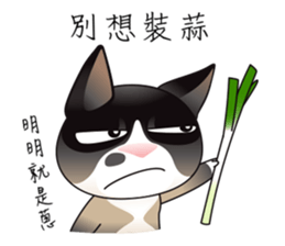 Snowshoe Cat Lumang - the bad guy sticker #11806858