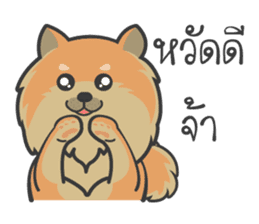 Pomeranian Brownie & friends sticker #11808414