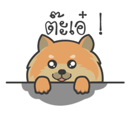 Pomeranian Brownie & friends sticker #11808415