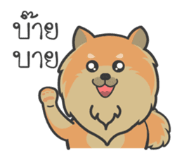 Pomeranian Brownie & friends sticker #11808417